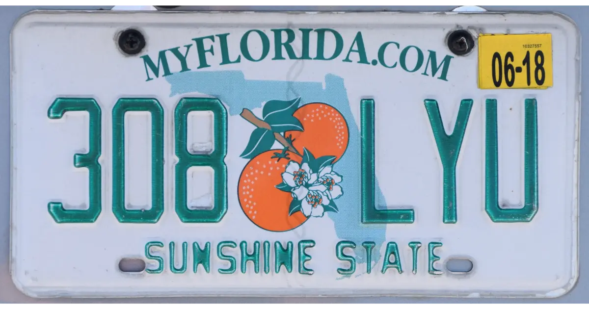 How Much Is A New License Plate In Florida?