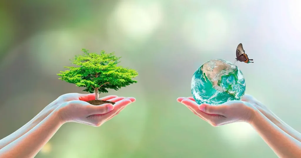 The Environmental Impact and Benefits