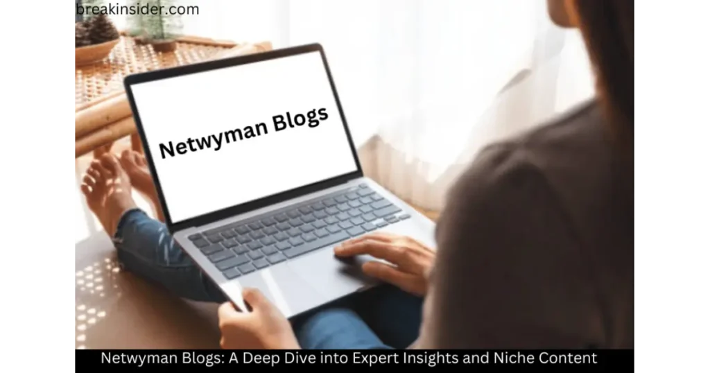 How to Use Netwyman Blogs?